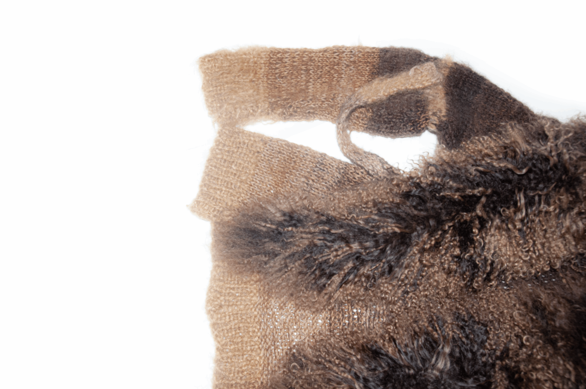 Angora Cardigan, Mongolian Curly Goat - Image 2